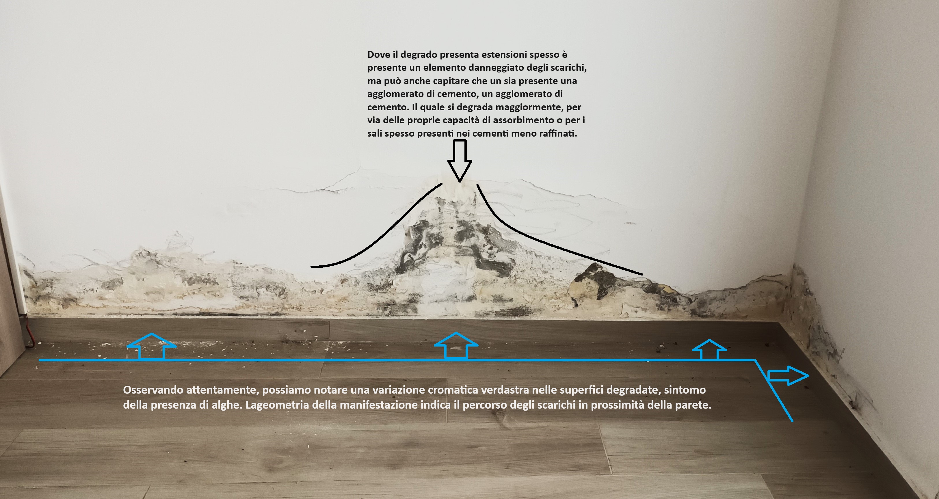 Pathologies caused by drains: how to identify a leak with visual inspection 20230919 150446