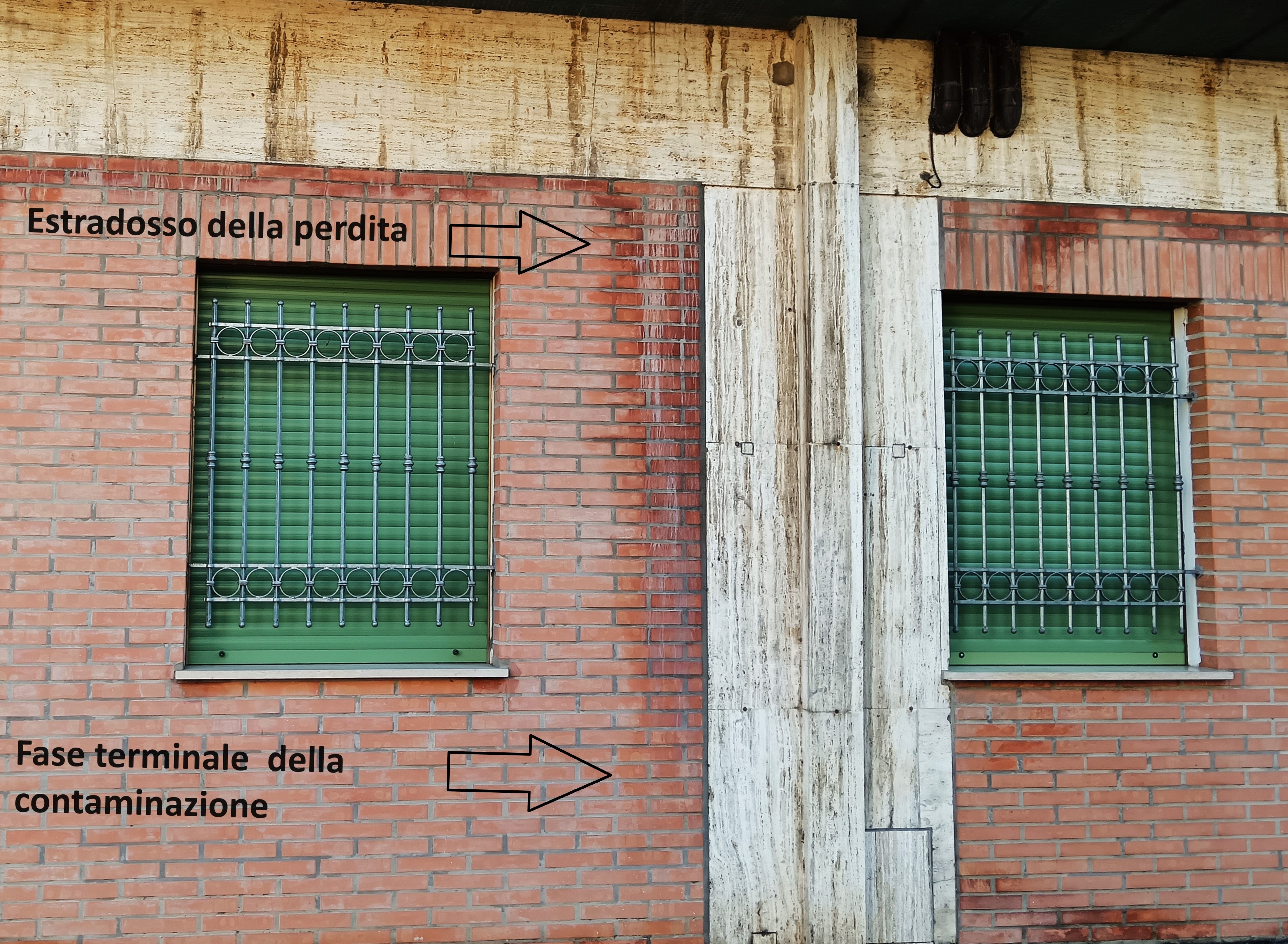 Pathologies caused by drains: how to spot a leak with visual inspection IMG 20240328 174328