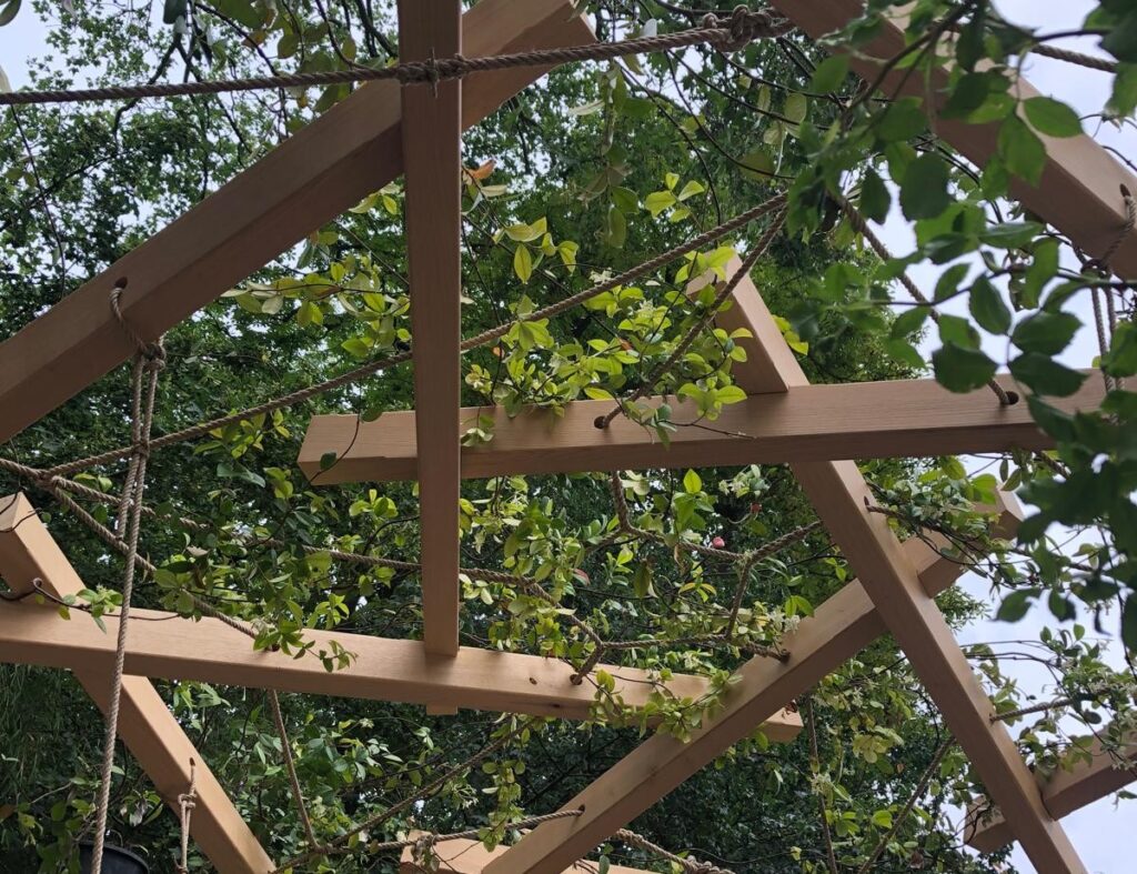 Building with plants - Alberta Construction Magazine