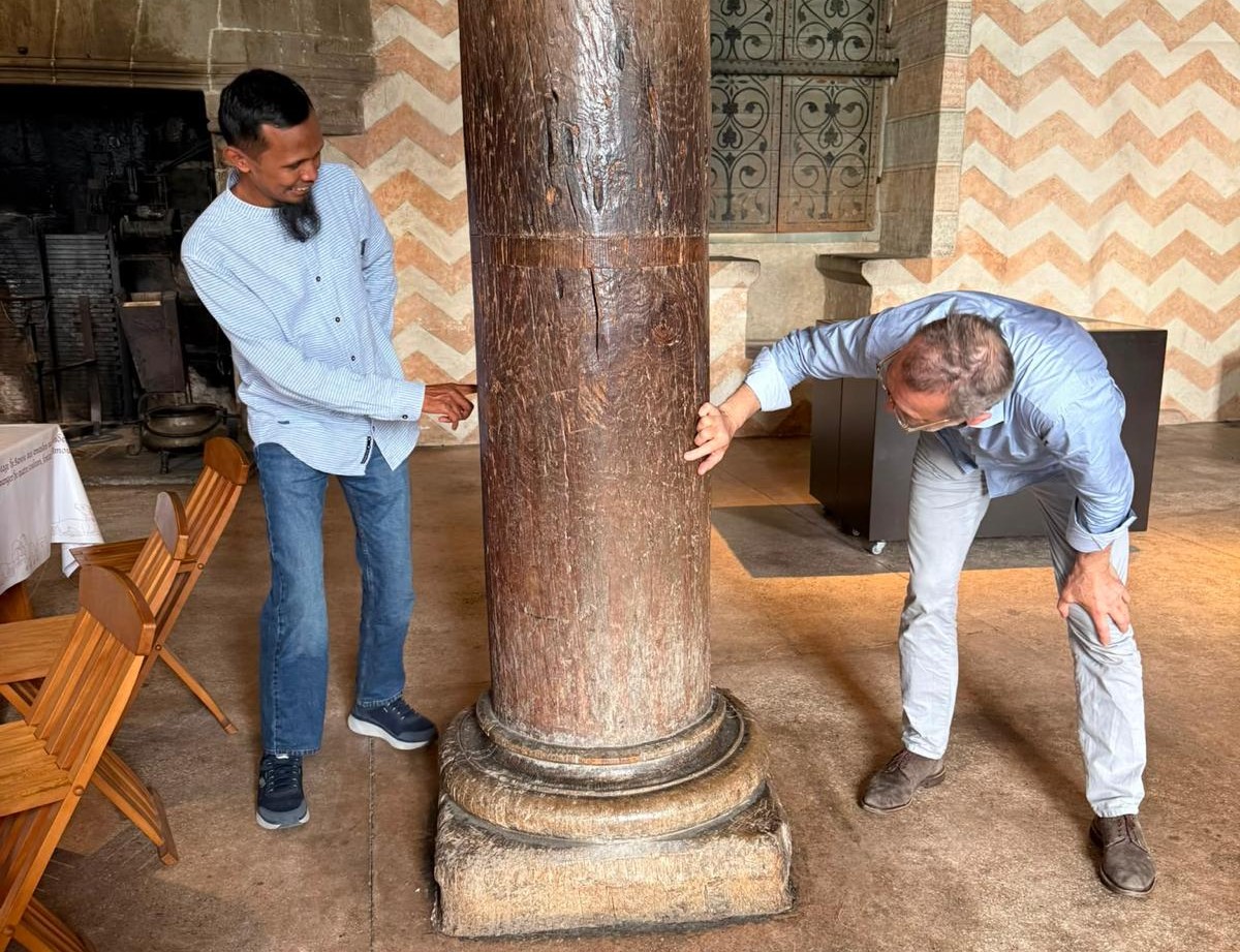 Non-destructive evaluation of wood stimulates reuse