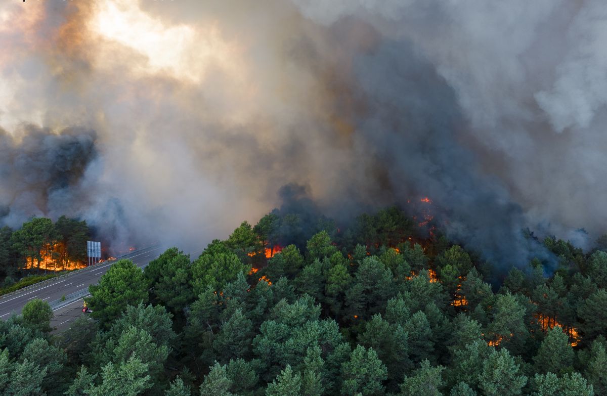 Fontainebleau forest: fire apparently started from a construction site, two workers prosecuted