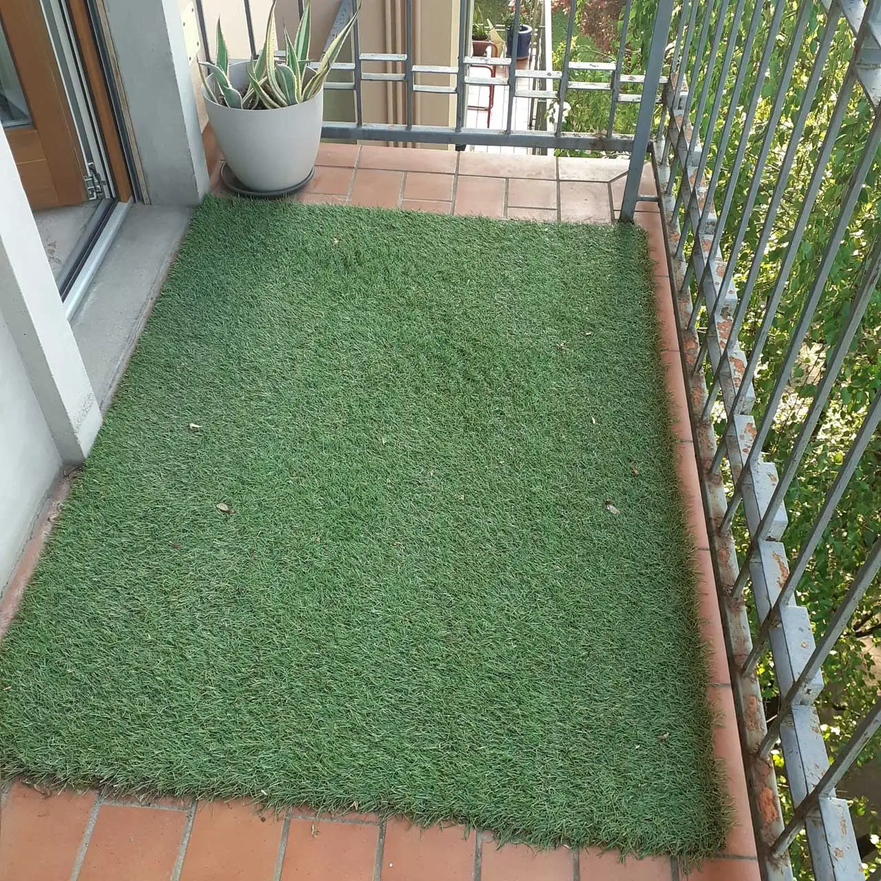 Ecology of building: natural or synthetic green lawns? 2