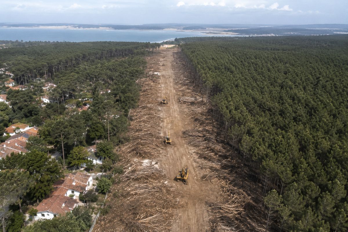 Megafire in Gironde: the Cap-Ferret firebreak in court