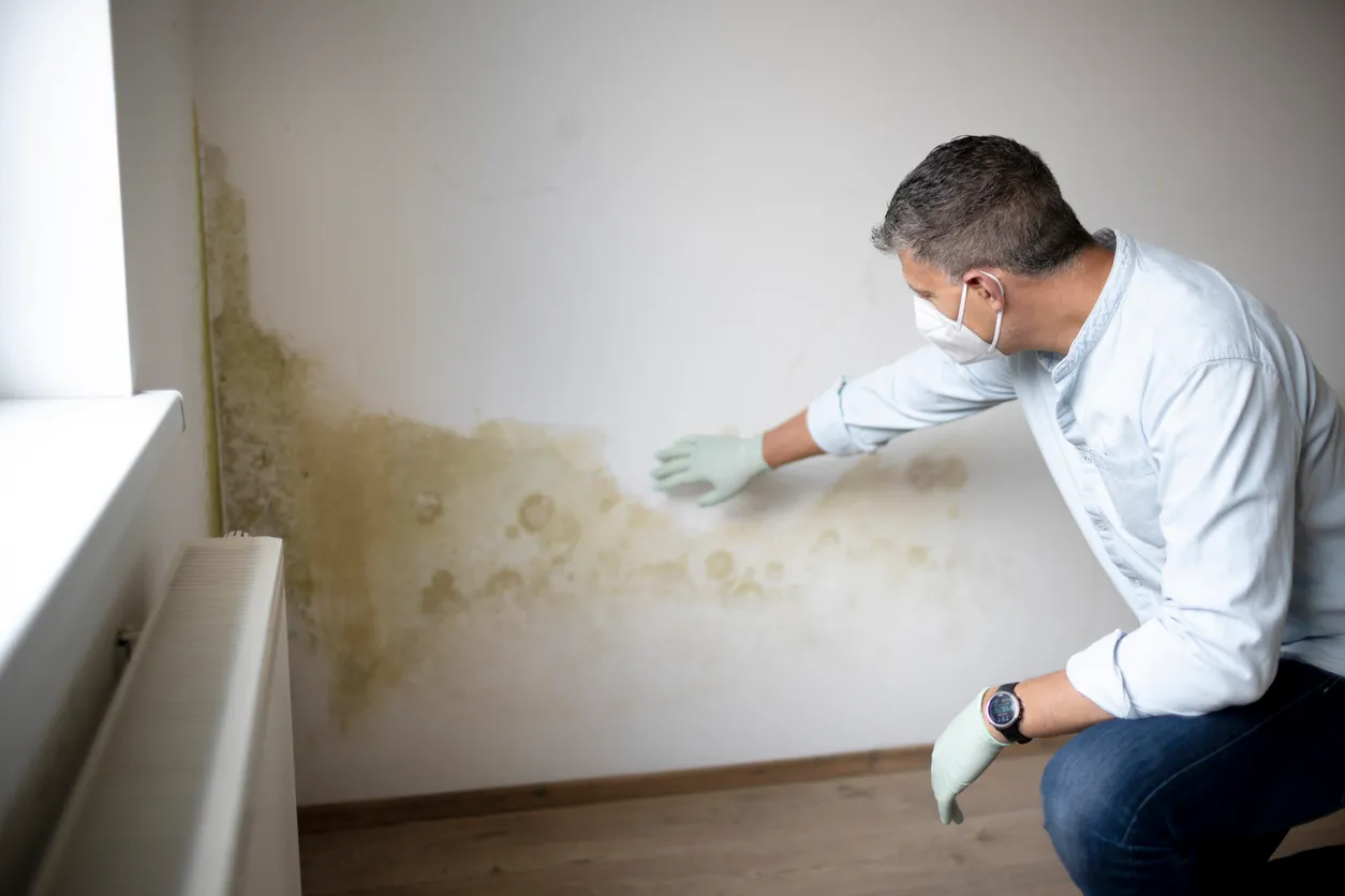 Healthy housing: 16% of Italian families live with humidity and other risk factors