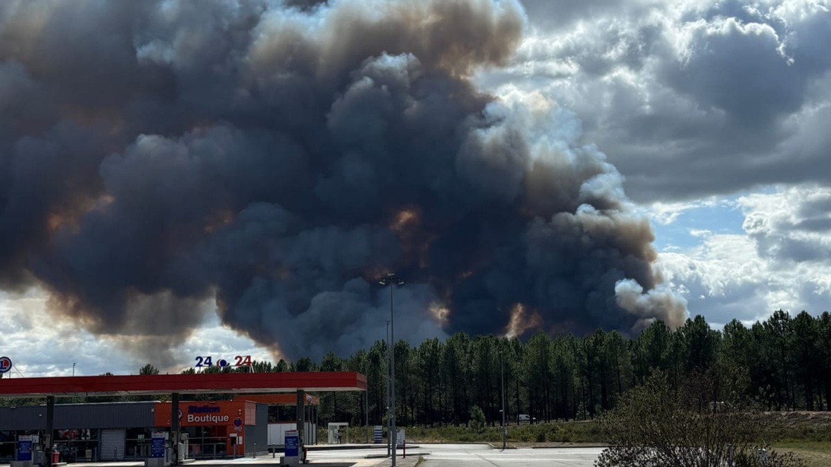 A fire starting from a photovoltaic park ravages 190 hectares in the Landes