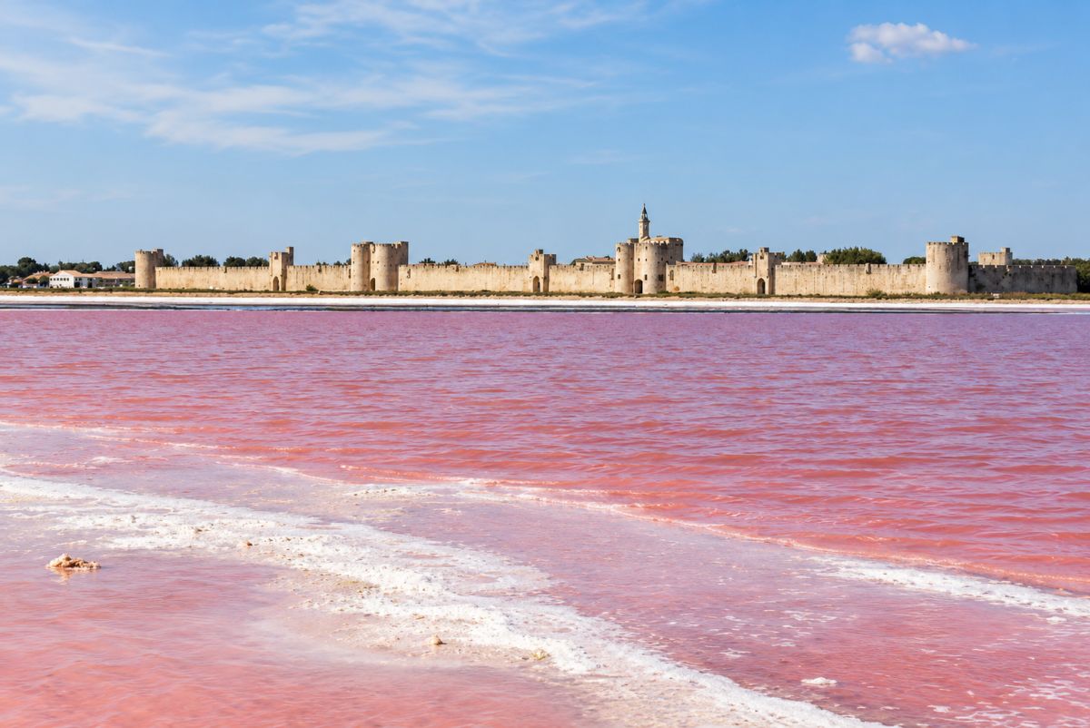 110 monuments, a successful writer: the Tour de France that makes you want to leave