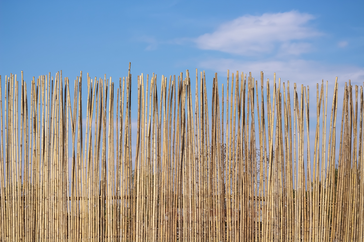 Free construction activity, but not without rules: what must be respected
